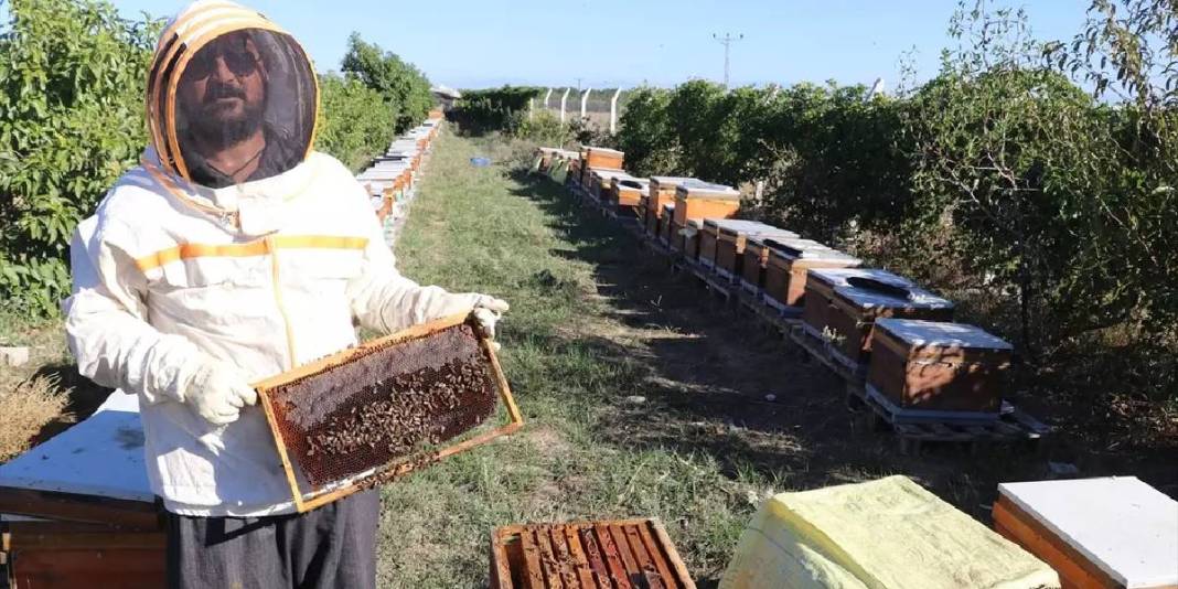 Nektar fazlalığı sorununu avantaja çevirdi! Hem meyvesini hem balını üretiyor: Bulduğu çözüme kendisi bile şaşırıyor 4